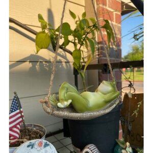 Frog Statues for Garden Outdoors Hanging Sleeping Frog Sculptures Swing Décor